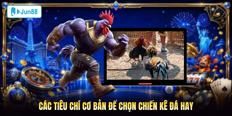 Các tiêu chí cơ bản để chọn chiến kê đá hay
