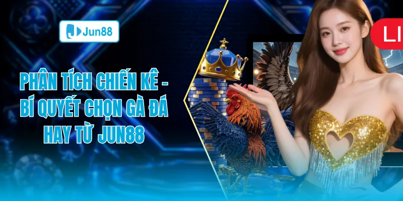 Phân tích chiến kê bí quyết chọn gà đá hay từ Jun88