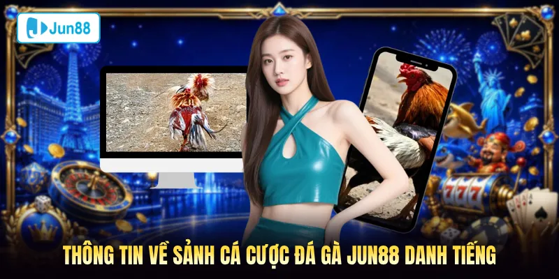 Giới thiệu sàn đá gà Jun88 cùng những điểm nổi bật không nên bỏ lỡ