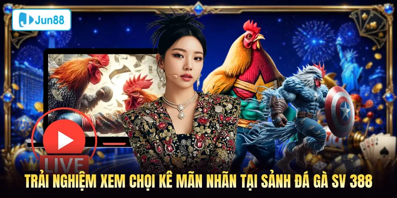 Trải nghiệm xem đà kê mãn nhãn tại sảnh đá gà SV 388 Jun88